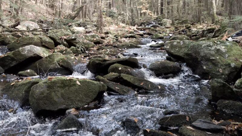 Swift River Reservation - Petersham, MA