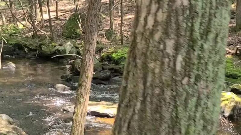 Swift River Reservation - Petersham, MA