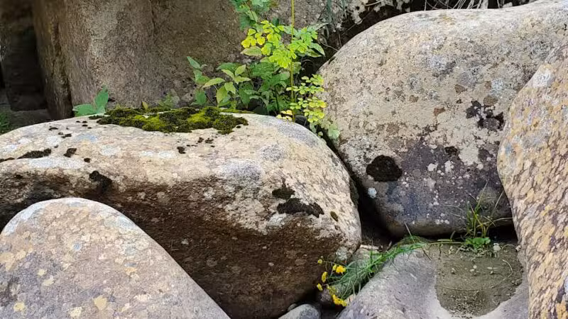 Phillips Falls - Phillips, ME