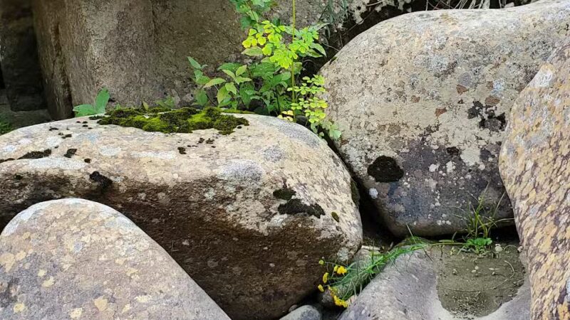 Phillips Falls - Phillips, ME