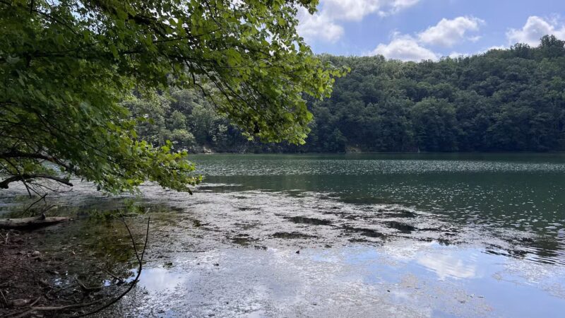 Loch Raven Reservoir Running Start - Phoenix, MD