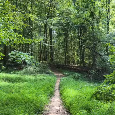 Loch Raven Reservoir Running Start - Phoenix, MD