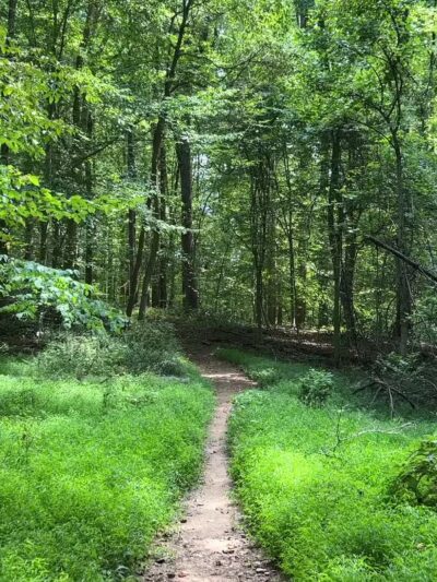 Loch Raven Reservoir Running Start - Phoenix, MD