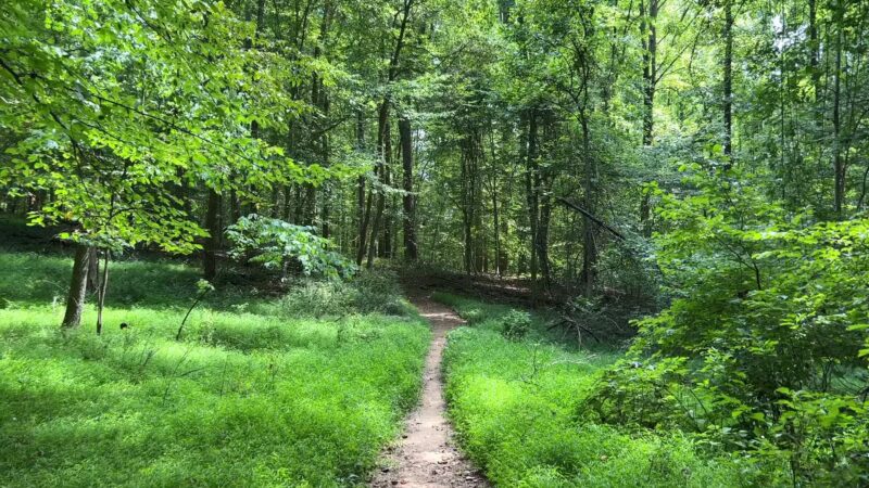 Loch Raven Reservoir Running Start - Phoenix, MD