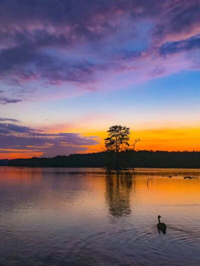 Loch Raven Reservoir Running Start - Phoenix, MD