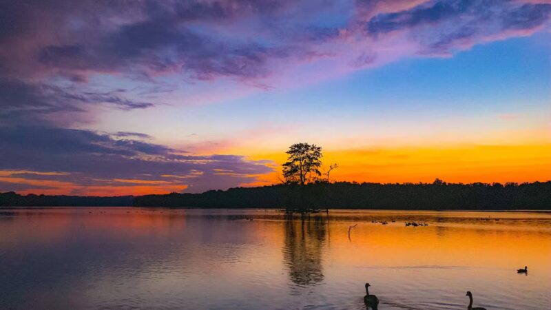 Loch Raven Reservoir Running Start - Phoenix, MD