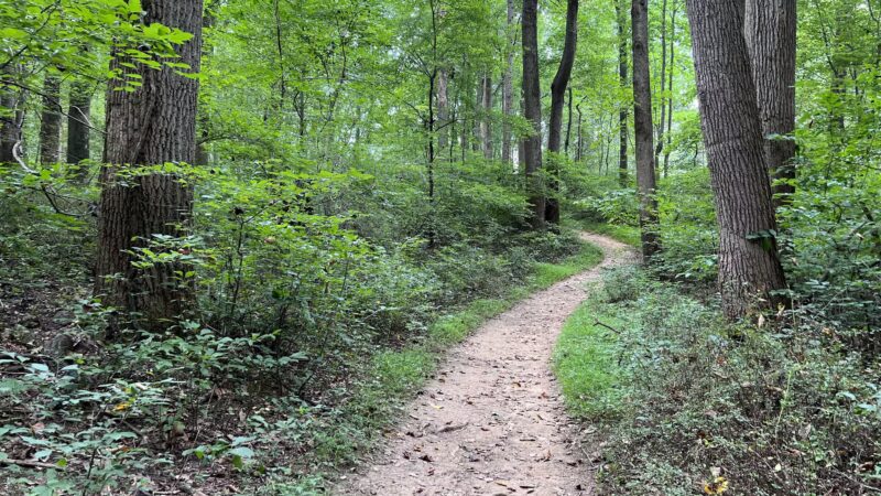 Loch Raven Reservoir Running Start - Phoenix, MD