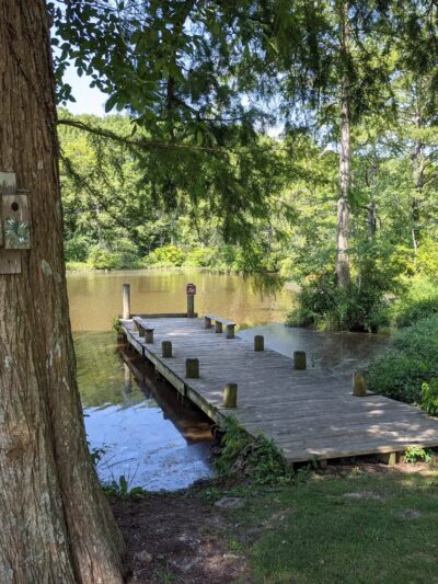 Adkins Mill Park and Nature Walk - Pittsville, MD