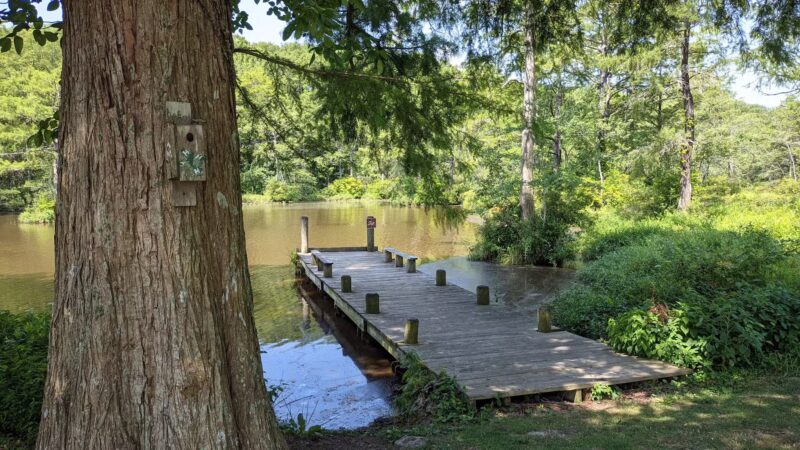 Adkins Mill Park and Nature Walk - Pittsville, MD