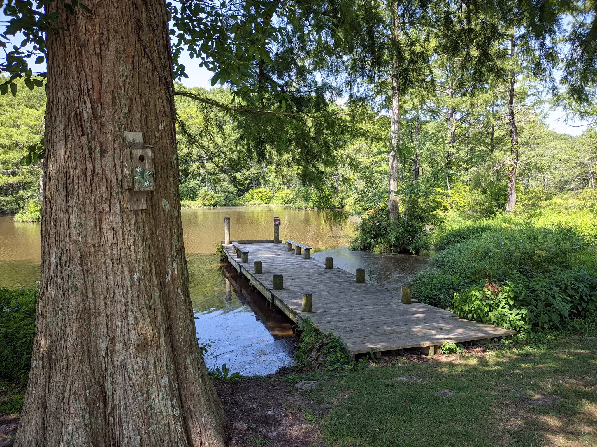 Adkins Mill Park and Nature Walk - Pittsville, MD