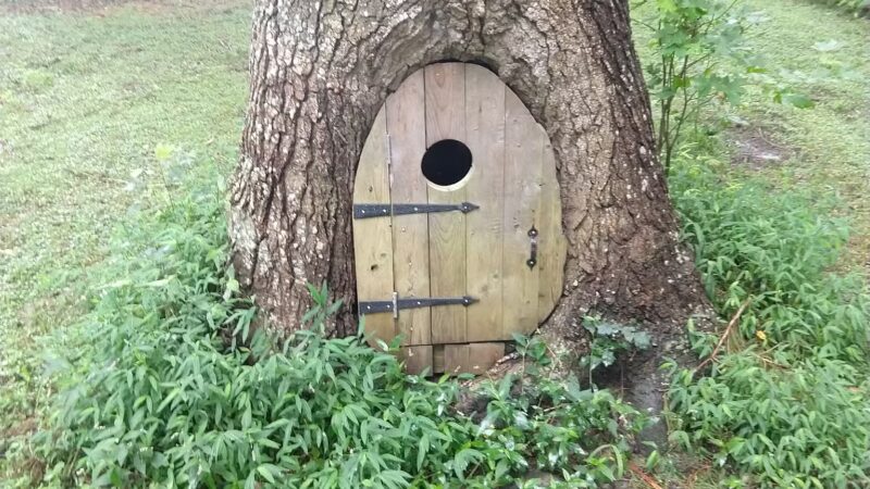 Adkins Mill Park and Nature Walk - Pittsville, MD