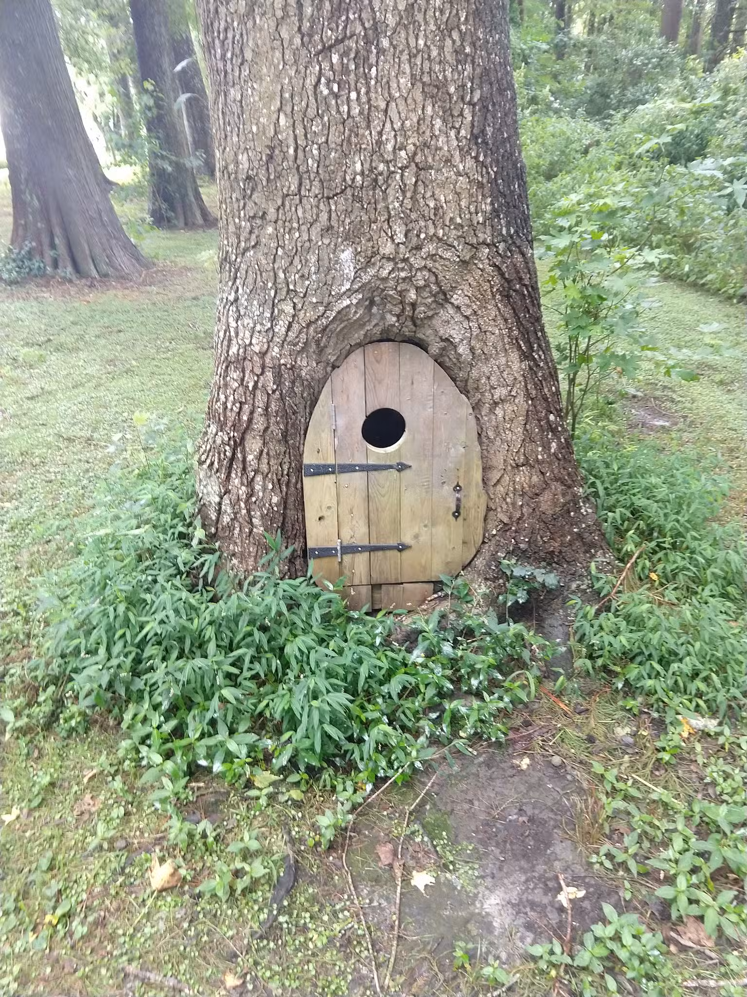 Adkins Mill Park and Nature Walk - Pittsville, MD