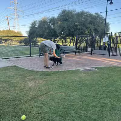 Jack Carter Dog Park - Plano, TX