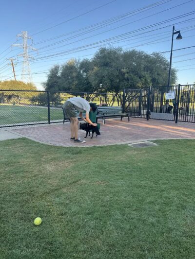 Jack Carter Dog Park - Plano, TX