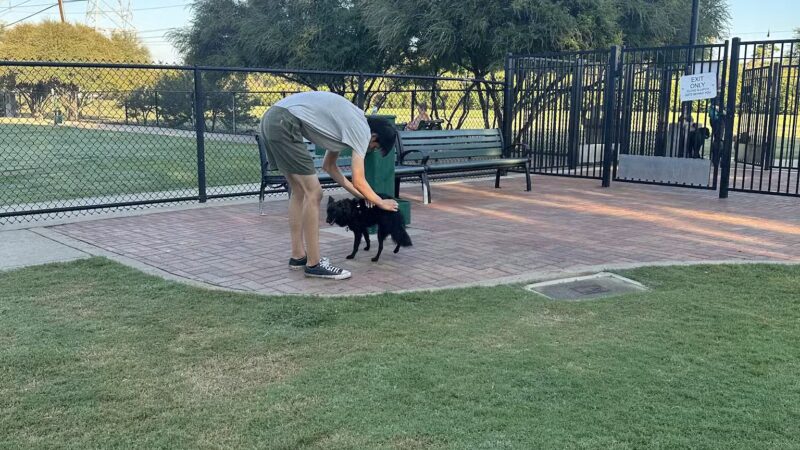 Jack Carter Dog Park - Plano, TX