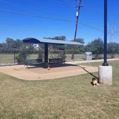 Jack Carter Dog Park - Plano, TX