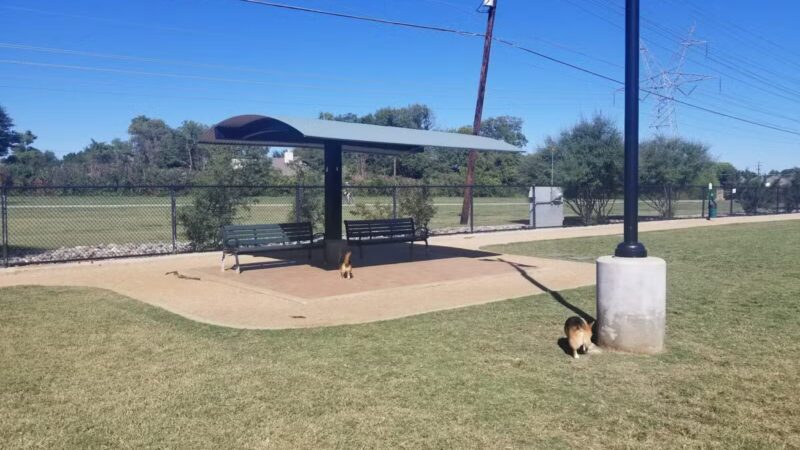 Jack Carter Dog Park - Plano, TX