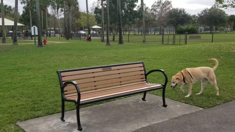Happy Tails Dog Park - Plantation, FL