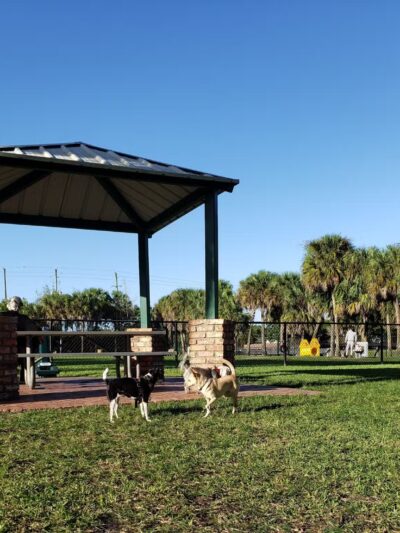 Happy Tails Dog Park - Plantation, FL
