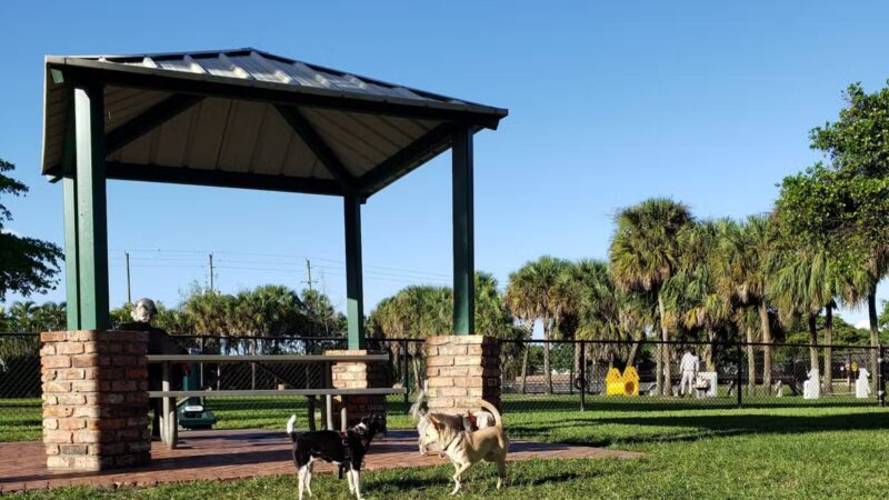 Happy Tails Dog Park - Plantation, FL