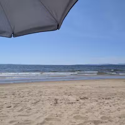 Plattsburgh City Beach Dog Park - Plattsburgh, NY