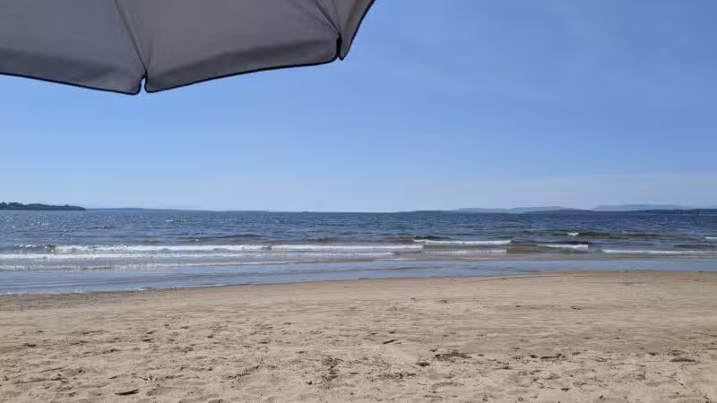 Plattsburgh City Beach Dog Park - Plattsburgh, NY