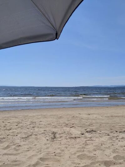 Plattsburgh City Beach Dog Park - Plattsburgh, NY