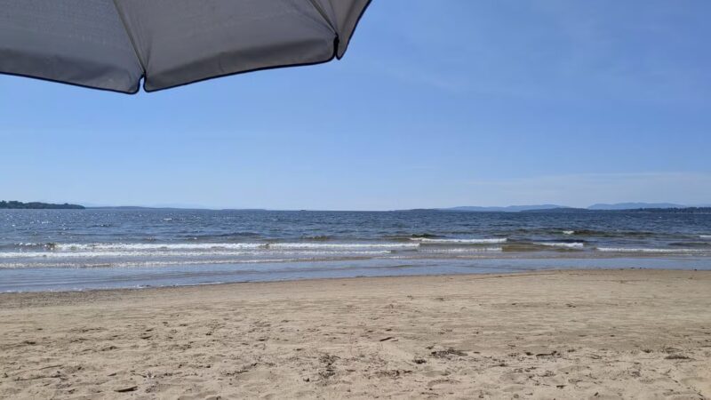 Plattsburgh City Beach Dog Park - Plattsburgh, NY