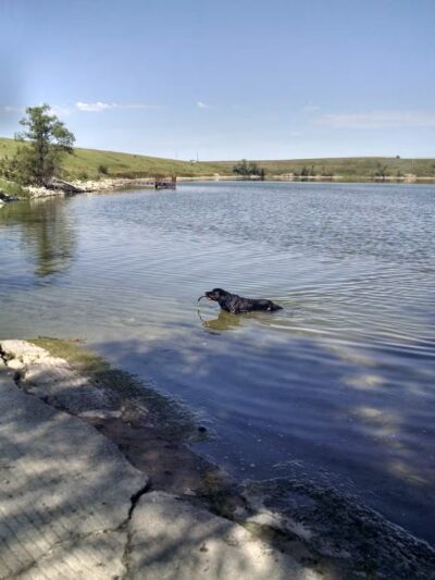 Bolster Dam Campgrounds - Plentywood, MT