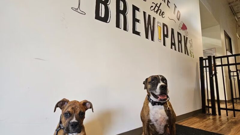 Brew Park Plymouth - Plymouth, MN