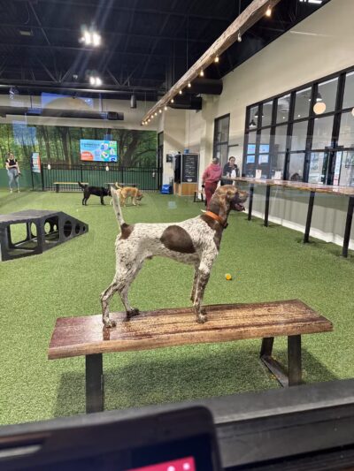 Brew Park Plymouth - Plymouth, MN