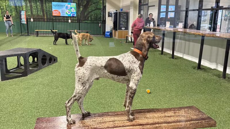 Brew Park Plymouth - Plymouth, MN