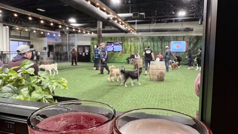 Brew Park Plymouth - Plymouth, MN