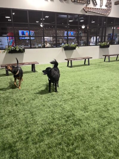 Brew Park Plymouth - Plymouth, MN