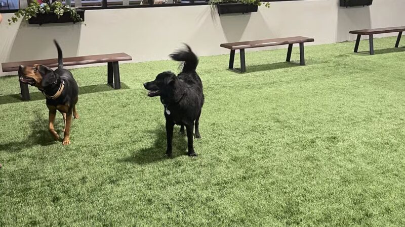 Brew Park Plymouth - Plymouth, MN