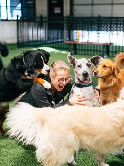 Brew Park Plymouth - Plymouth, MN