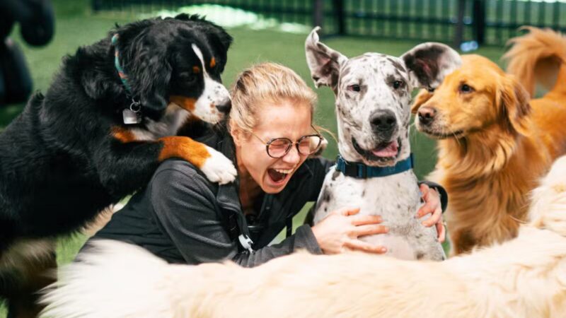 Brew Park Plymouth - Plymouth, MN