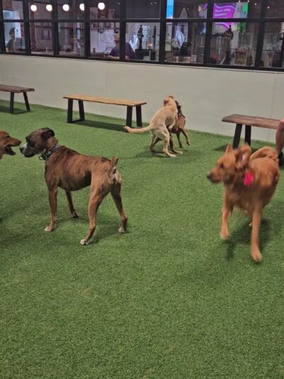 Brew Park Plymouth - Plymouth, MN