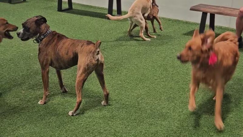 Brew Park Plymouth - Plymouth, MN