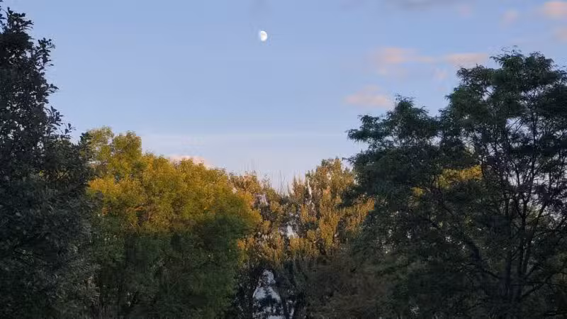 Circle Park - Plymouth, MN