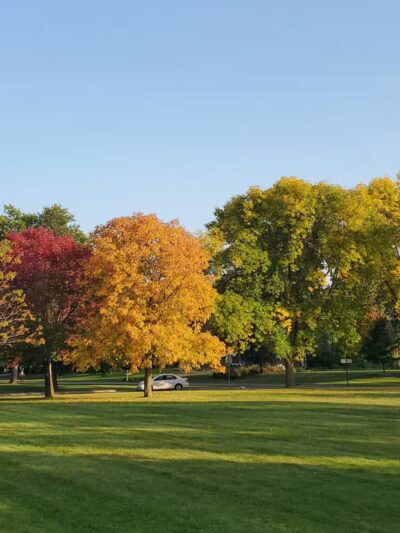 Circle Park - Plymouth, MN