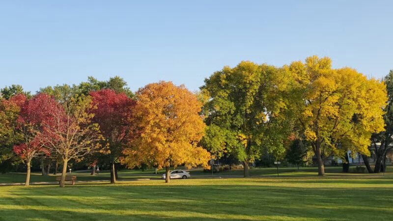 Circle Park - Plymouth, MN