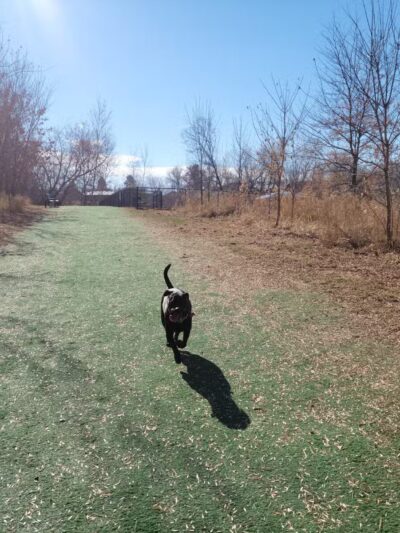 Plymouth - Egan Park - Plymouth, MN