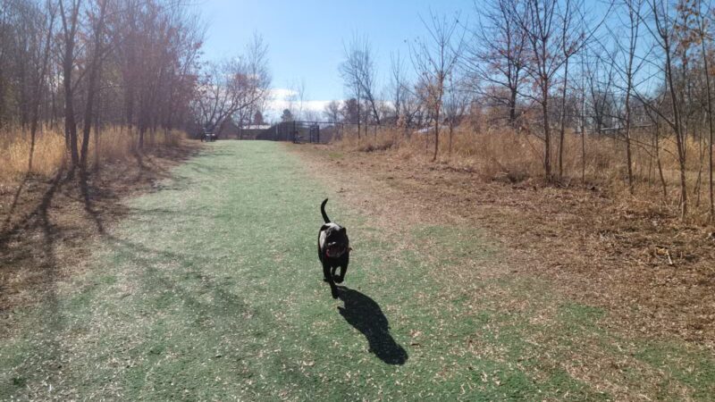 Plymouth - Egan Park - Plymouth, MN