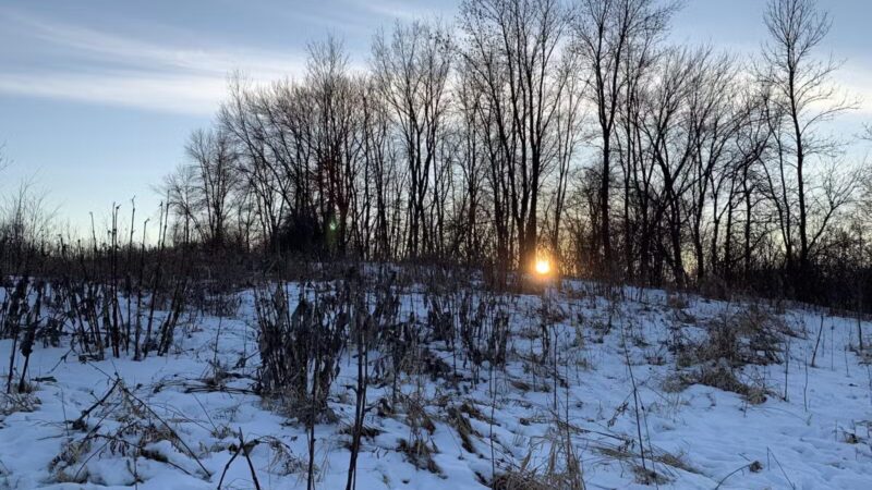 Plymouth - Egan Park - Plymouth, MN