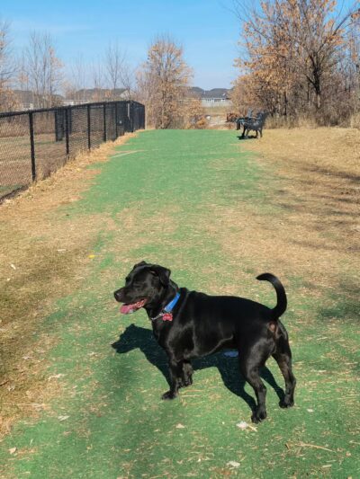 Plymouth - Egan Park - Plymouth, MN