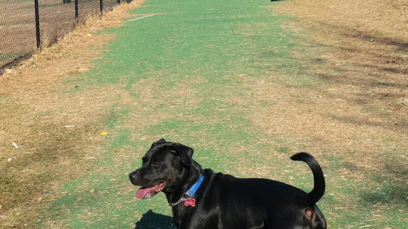 Plymouth - Egan Park - Plymouth, MN