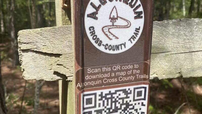 Algonquin Cross County Trail (Trailhead) - Pocomoke City, MD