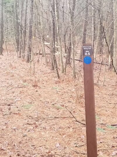 Algonquin Cross County Trail (Trailhead) - Pocomoke City, MD
