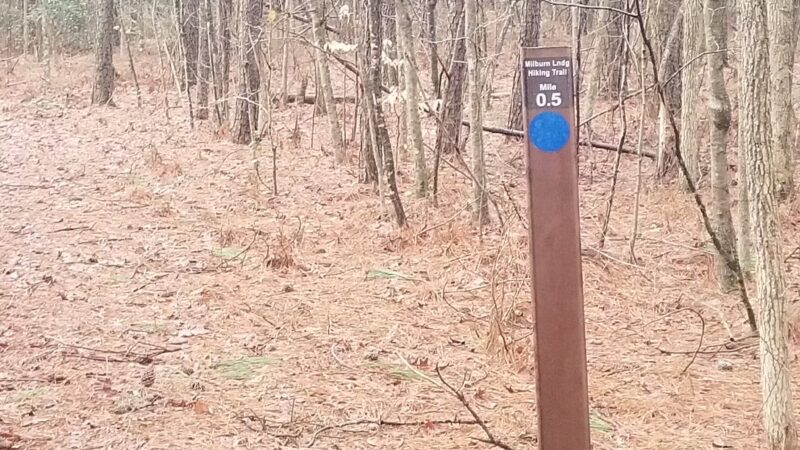 Algonquin Cross County Trail (Trailhead) - Pocomoke City, MD